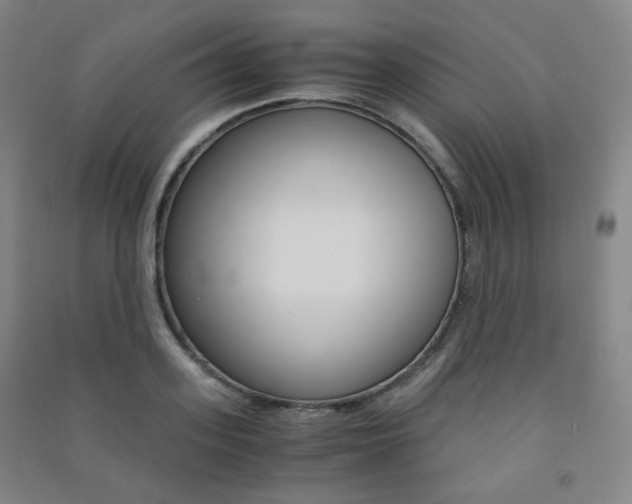 X0000091500939200708161231
