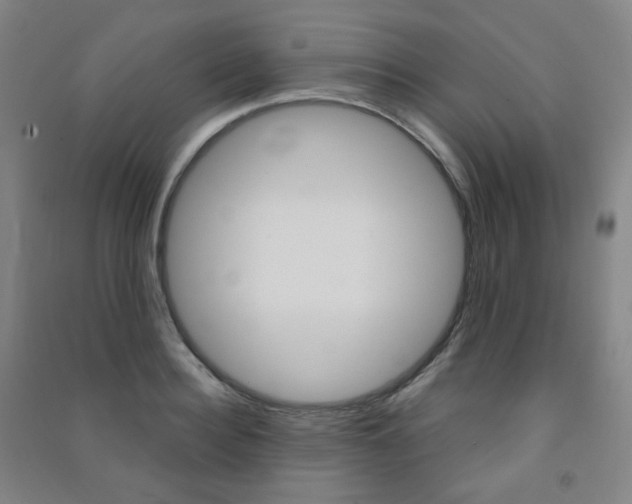 X0000091500940200708161231