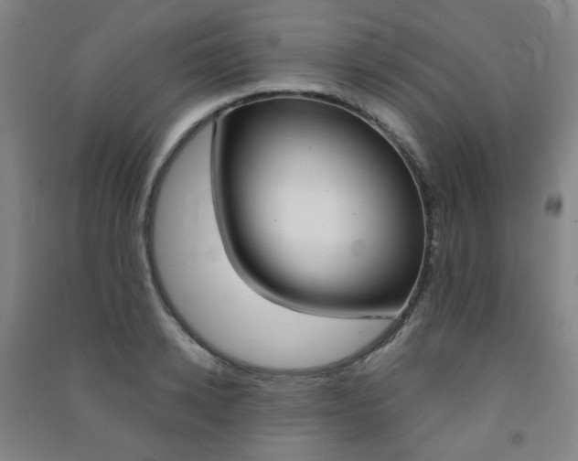 X0000091500942200708161231
