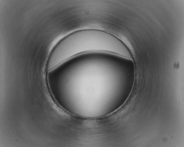 X0000091500944200708161231