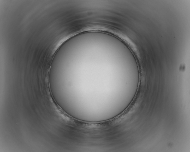 X0000091500945200708161231