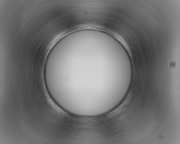 X0000091500946200708161231