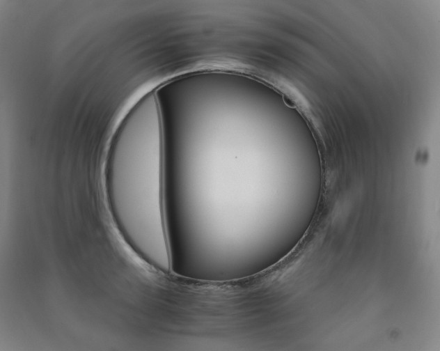 X0000091500947200708161231