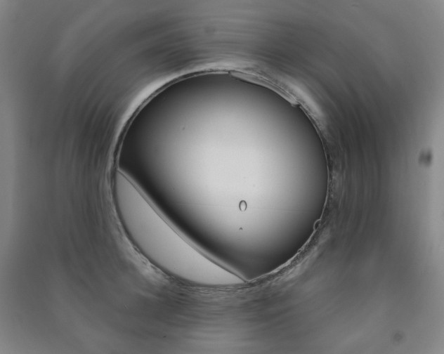 X0000091500948200708161231