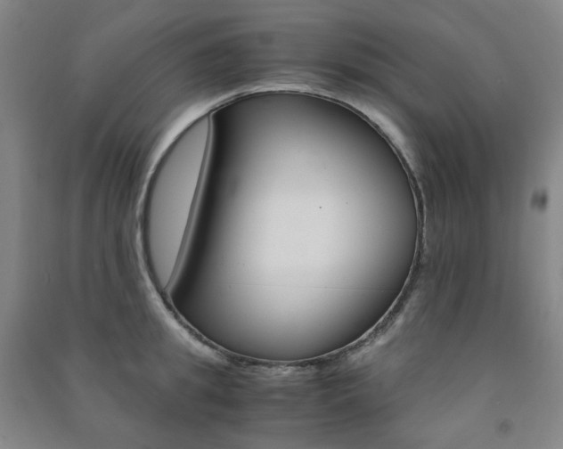 X0000091500949200708161231