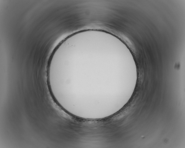 X0000091500950200708161231