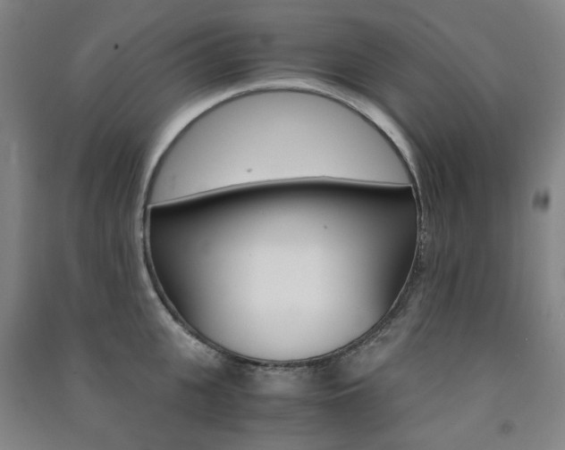 X0000091500951200708161231