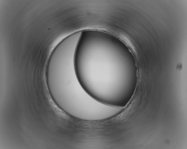 X0000091500952200708161231