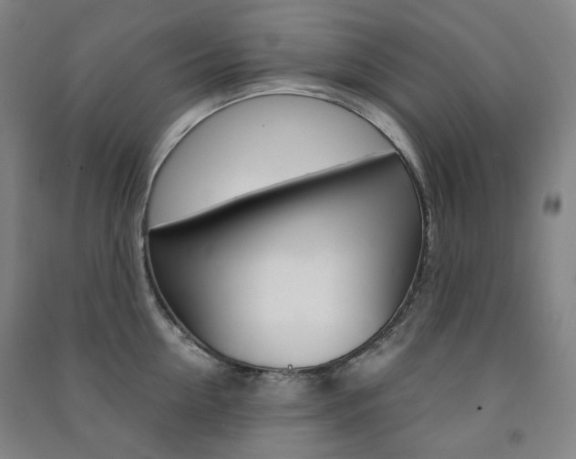 X0000091500954200708161231