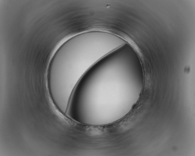 X0000091500955200708161231