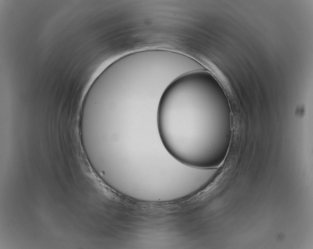 X0000091500956200708161231