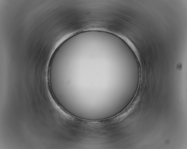 X0000091500957200708161231