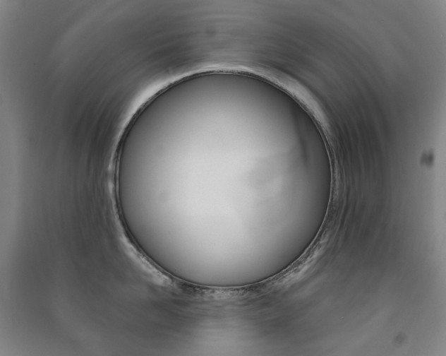X0000091500958200708161231