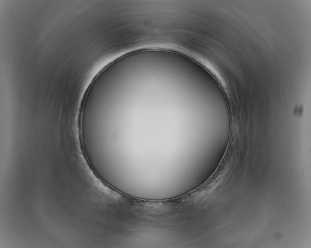 X0000091500959200708161231