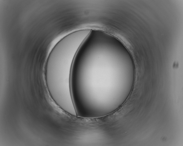 X0000091500960200708161231