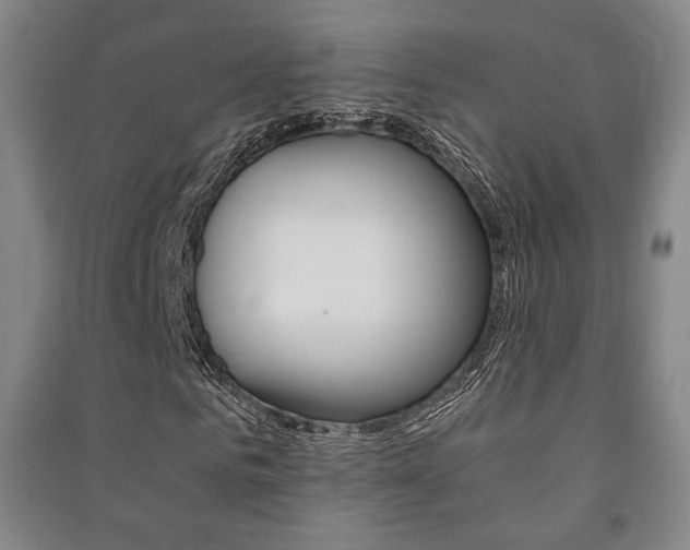 X0000091500961200708161231