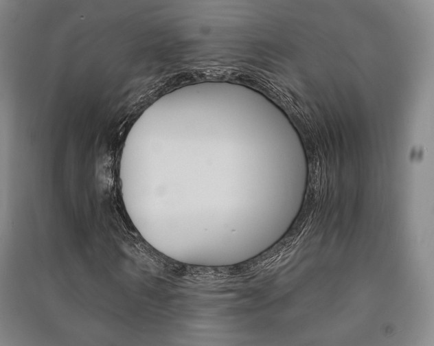 X0000091500962200708161231