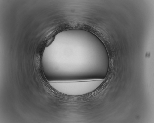 X0000091500963200708161231