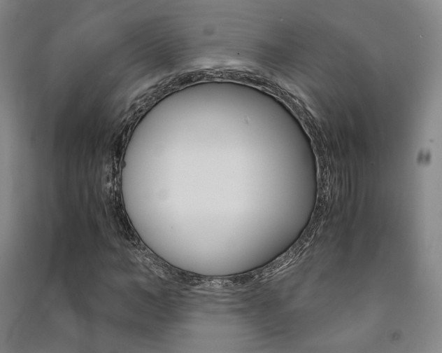 X0000091500966200708161231
