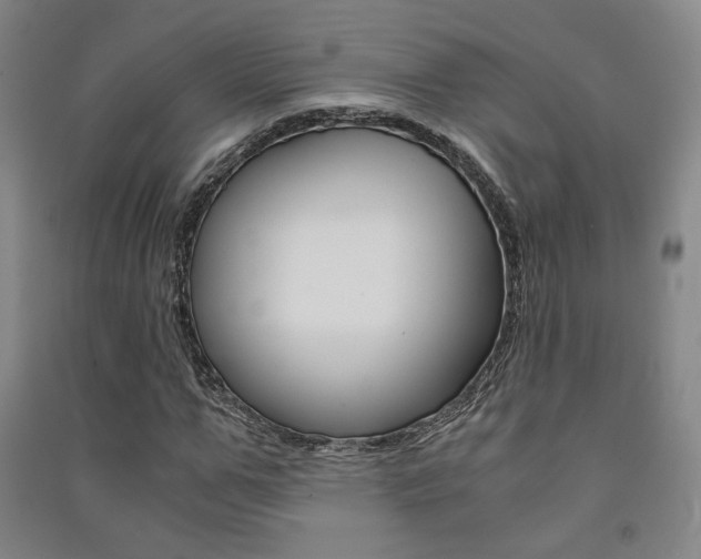 X0000091500967200708161231