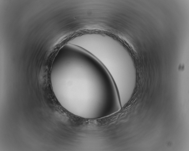 X0000091500968200708161231