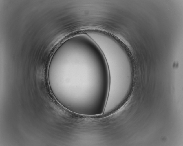 X0000091500969200708161230