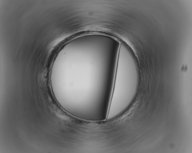 X0000091500971200708161230