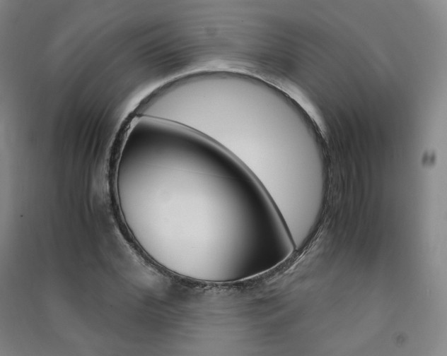 X0000091500972200708161230