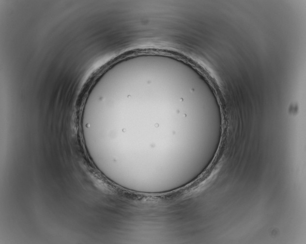 X0000091500974200708161230