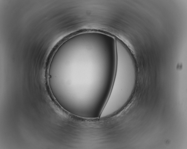 X0000091500976200708161230