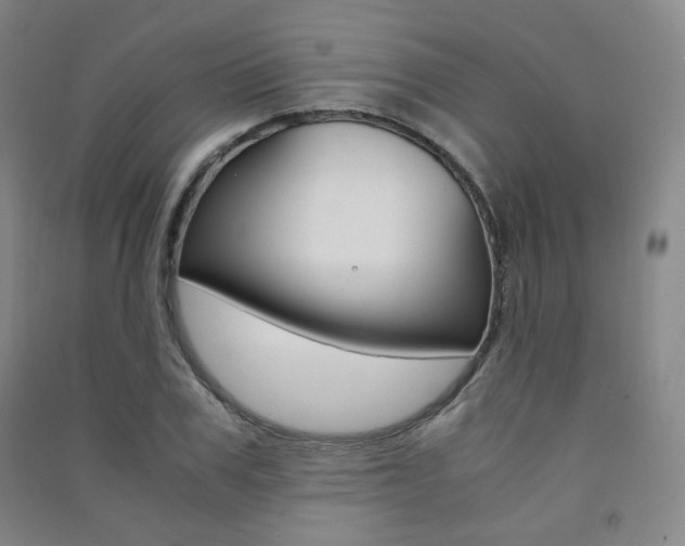 X0000091500979200708161230