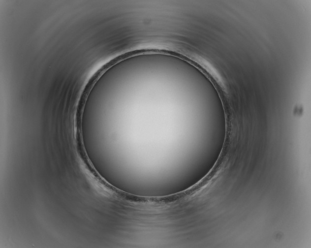 X0000091500980200708161230