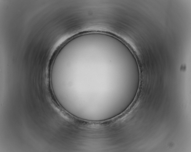 X0000091500982200708161230