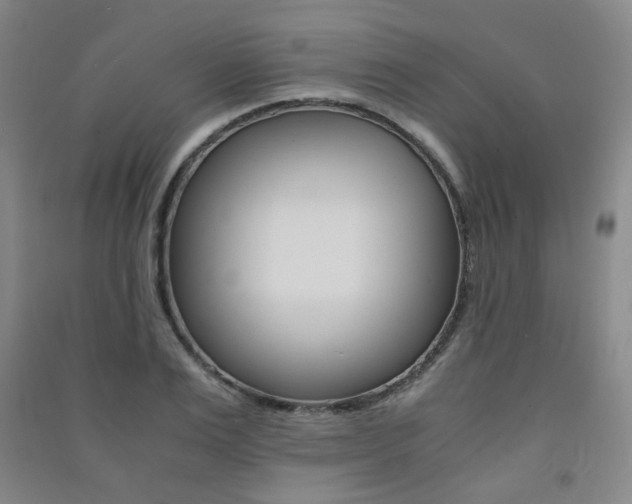 X0000091500983200708161230