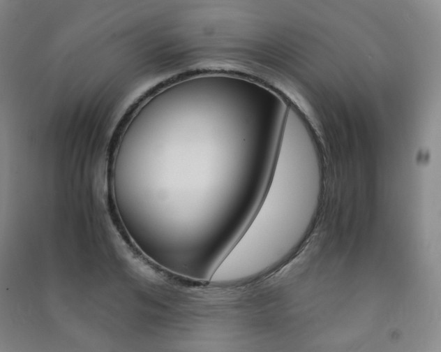 X0000091500984200708161230