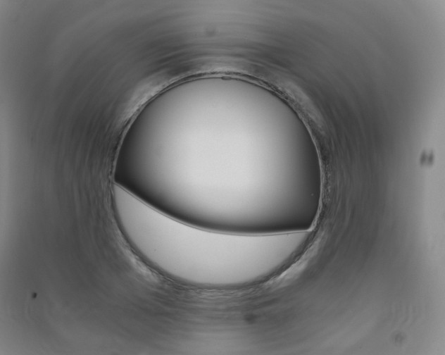 X0000091500985200708161230