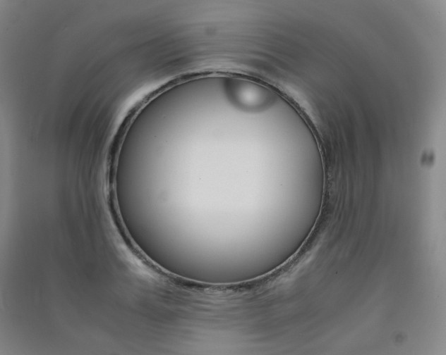 X0000091500987200708161230