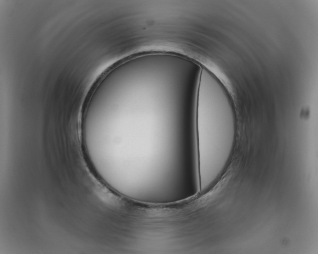 X0000091500988200708161230