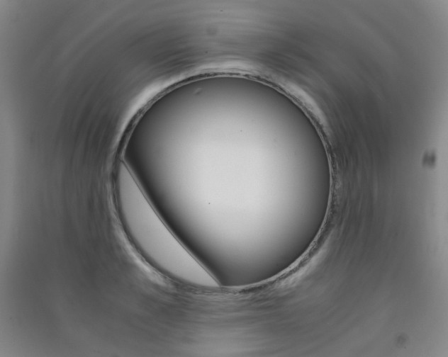 X0000091500989200708161230
