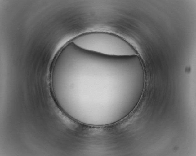 X0000091500990200708161230