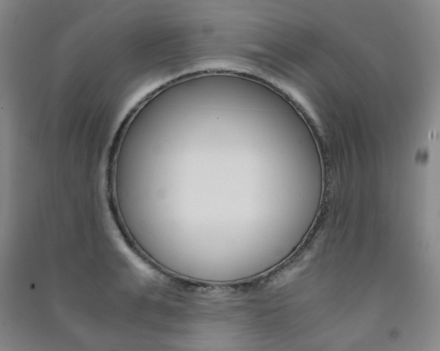 X0000091500991200708161230