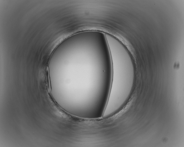X0000091500993200708161230