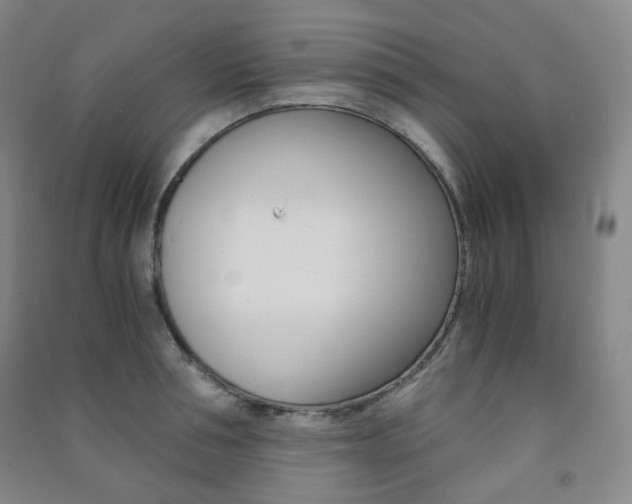 X0000091500994200708161230