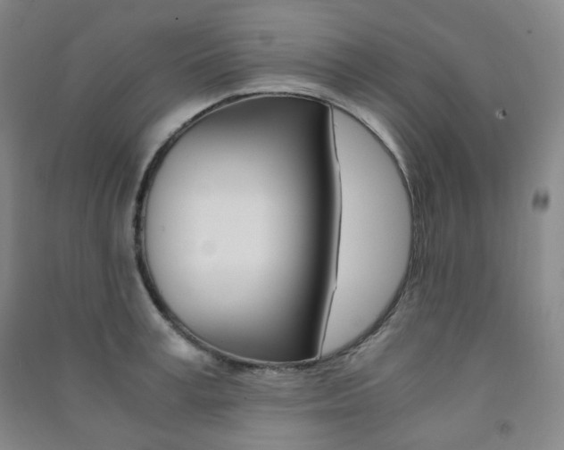 X0000091500995200708161230