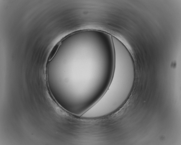 X0000091500996200708161230