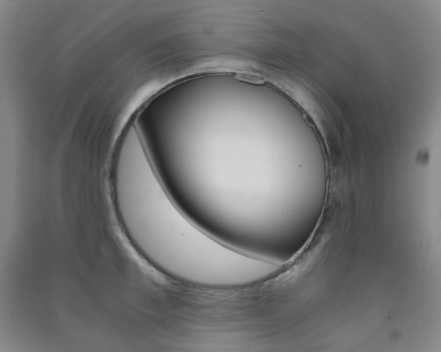 X0000091500997200708161230