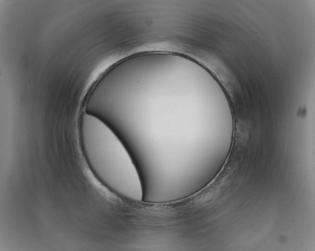 X0000091500998200708161230