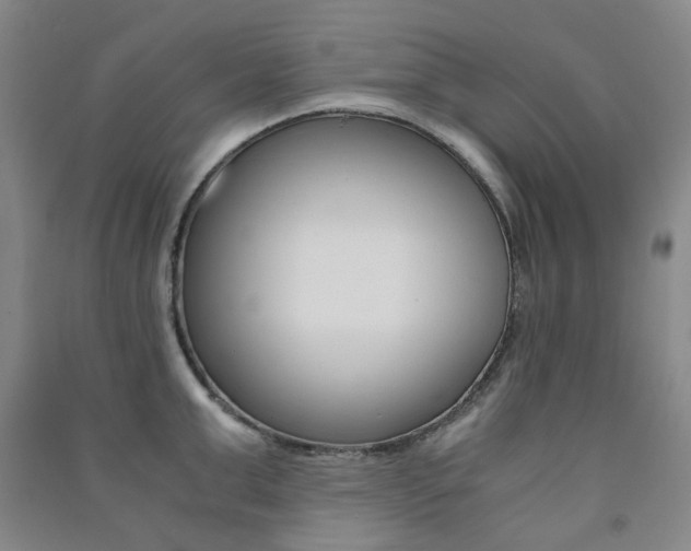 X0000091500999200708161230