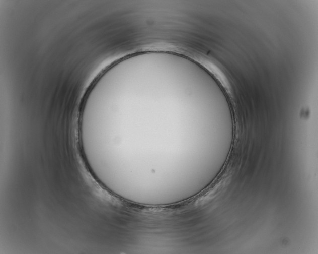 X0000091501000200708161230