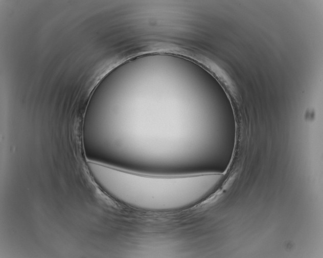 X0000091501001200708161230